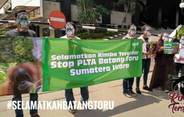 Защита небольших лесов не защищает биоразнообразие птиц: лесам необходимо более эффективное управление для поддержания экологической целостности