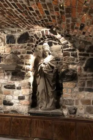 Создание молекулярной схемы раннего развития эмбриона