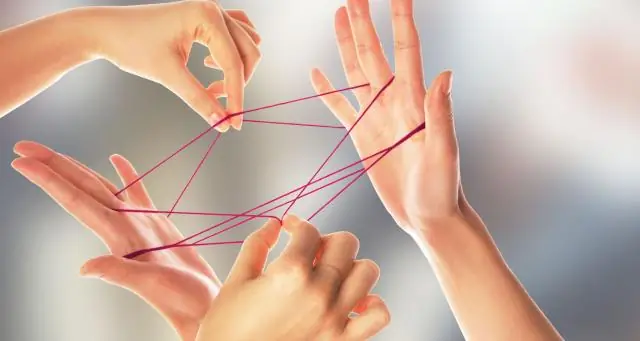 Организация сложных структур изучена у слизевиков: как клетки организуются в сложные структуры, изученные у слизевиков