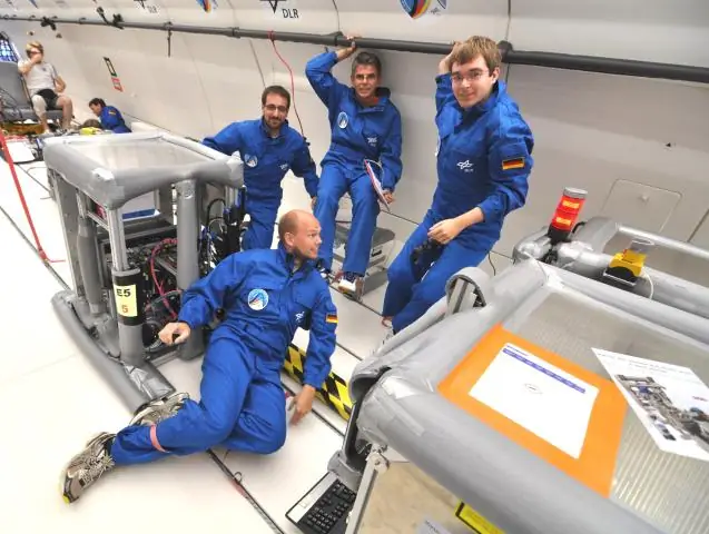 Удивительные данные о лесных пожарах: исследователи используют керны, чтобы проследить пожары последних 600 000 лет