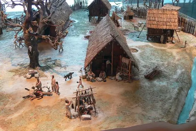 Лисы были приручены людьми в Бронзовом веке