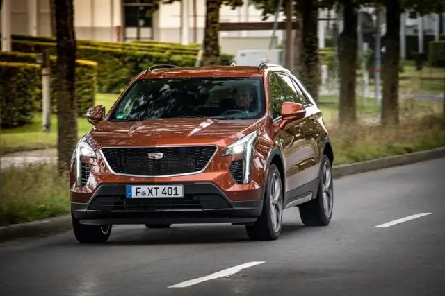 Слишком жарко для комфорта: физиологические опасности сильной жары