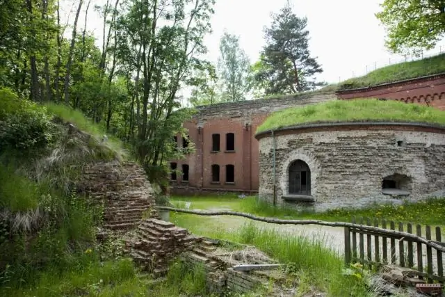 Новый биохимический путь, который может создать более устойчивые сорта сельскохозяйственных культур