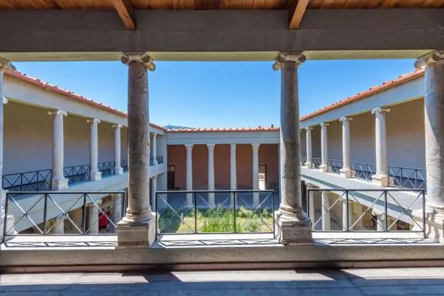 Дрожжи проникают через древо жизни, чтобы приручить набор бактериальных генов