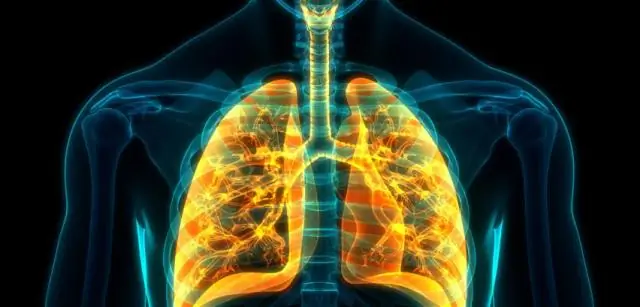 Захваченный углекислый газ превращается в щавелевую кислоту для переработки редкоземельных элементов