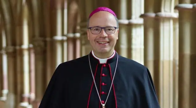 Весенняя миграция у европейских и североамериканских птиц стала более ранней