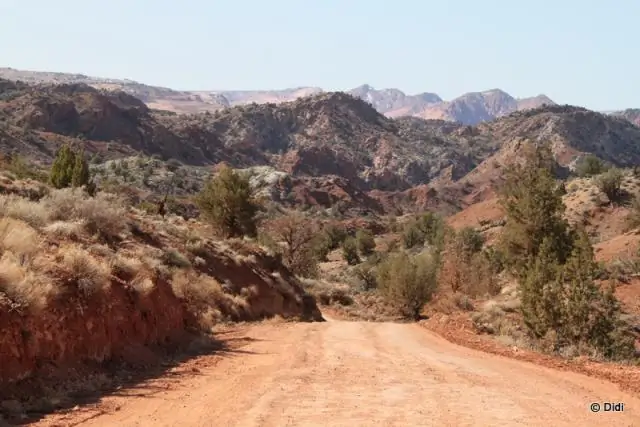 Лес Амазонки: районы с более высокой изменчивостью осадков более устойчивы к изменению климата