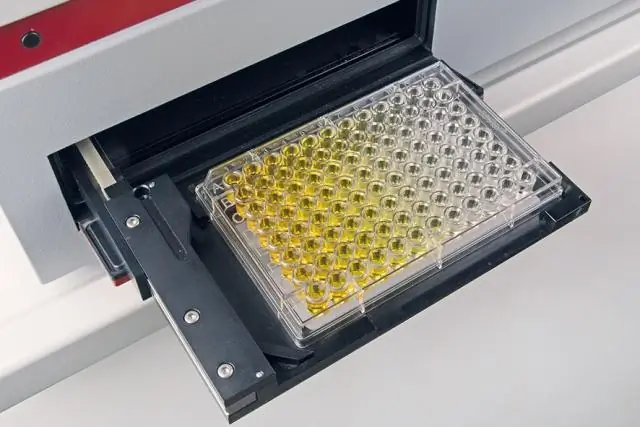 Упрощенный метод делает бесклеточный синтез белка более гибким и доступным