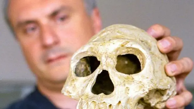 Неандертальцы ходили прямо, как современные люди