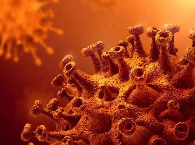 Твиты рассказывают ученым, как быстро мы нормализуем необычную погоду: Исследование: «замечательная» погода становится нормальной в течение нескольких лет