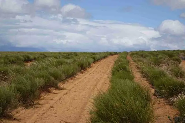 Новое исследование ставит под сомнение причину краха Ангкора