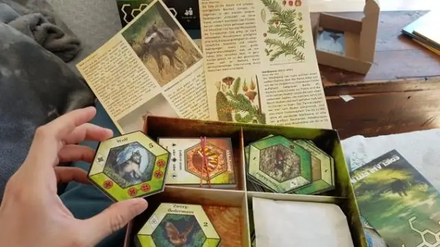 Понимание богатой социальной жизни животных приносит пользу международным природоохранным усилиям