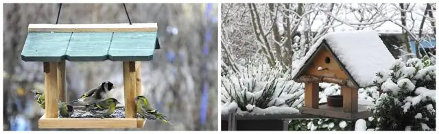 Запах нематод дает возможное преимущество в борьбе с насекомыми-вредителями