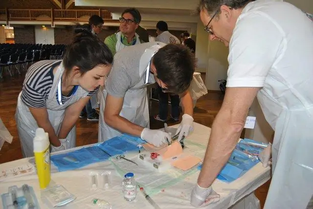 Табачные растения превращаются в «зеленые биореакторы» для улучшения здоровья человека