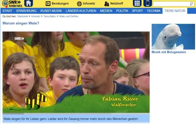 Мигрирующие голубые киты полагаются на память больше, чем на сигналы окружающей среды, чтобы найти добычу