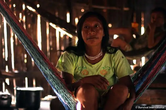 Риск остается низким, несмотря на рост числа нападений акул по всему миру