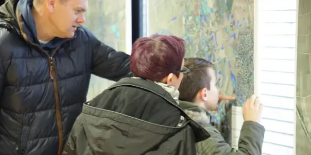 Улучшение экосистем с помощью водных растений: исследование показывает, как выращивать водные растения в крупномасштабных системах растениеводства