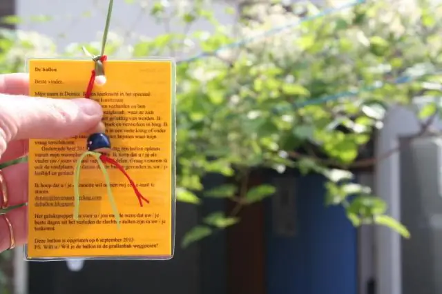 Воздушные шары – риск гибели морских птиц от морского мусора номер 1