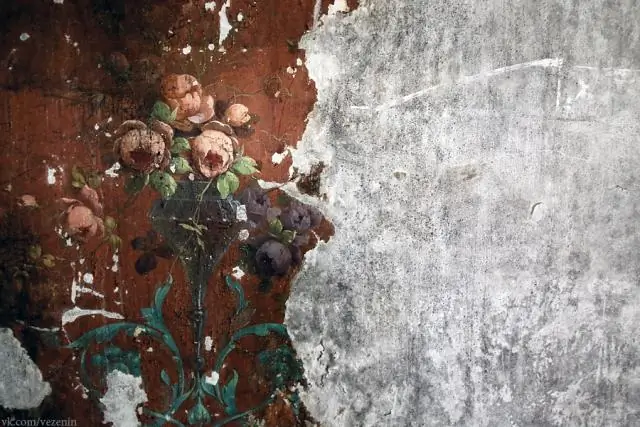 Процессы, определяющие судьбу нового РНК-пестицида в почве: исследователи обнаружили, что прилипание к частицам почвы замедляет деградацию нового пестицида, подавляющего гены