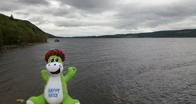 Угорь, находящийся под угрозой исчезновения, обнаружен с помощью ДНК из одного литра воды