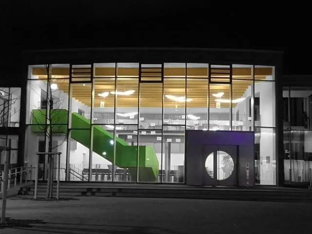 Инженеры разработали быстрый метод преобразования водорослей в биосырье