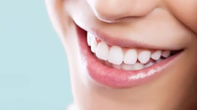 Как зубы мегалодона превратились в «совершенные режущие инструменты»