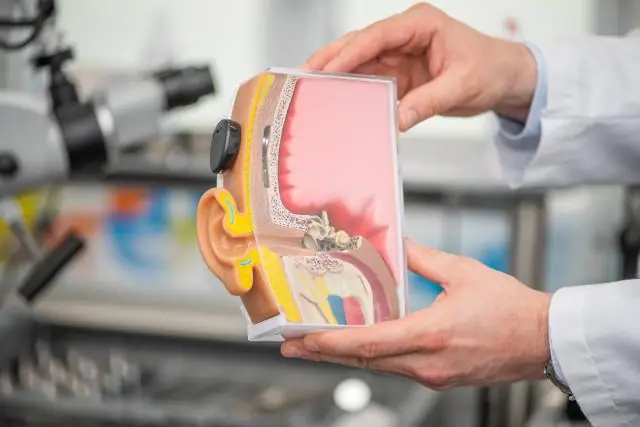 Электрические сигналы запускают регенерацию плоских червей