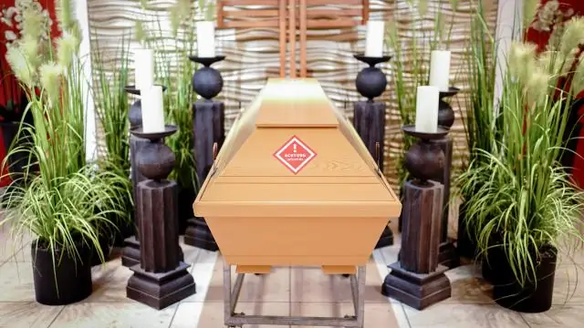 Разнообразие рыб связано со здоровьем карибских коралловых рифов