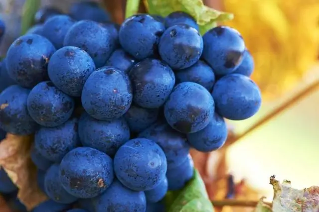 Новое понимание географического ландшафта доисторического центрального Тибета