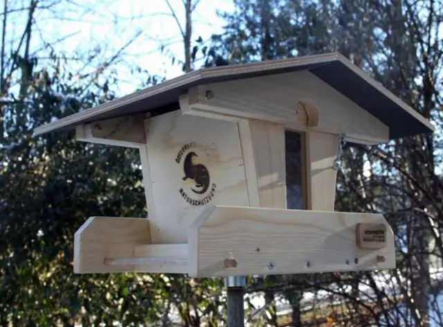 Большинство микробов в кормушках для колибри не представляют опасности для здоровья: кормушки или цветы? Исследователи сравнивают микробы