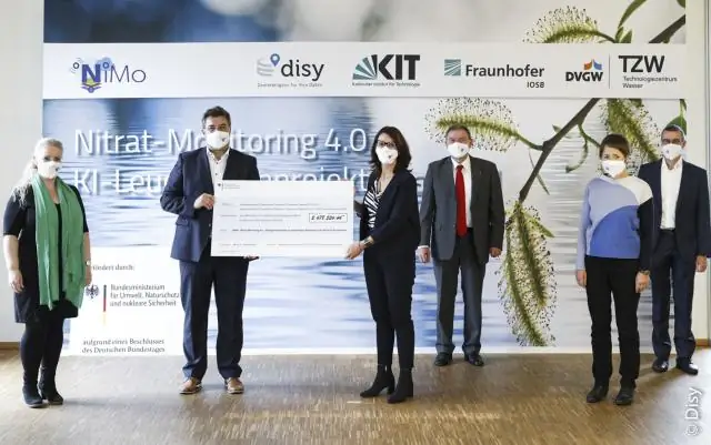 Ученые разработали «умный дом» мыши для изучения поведения