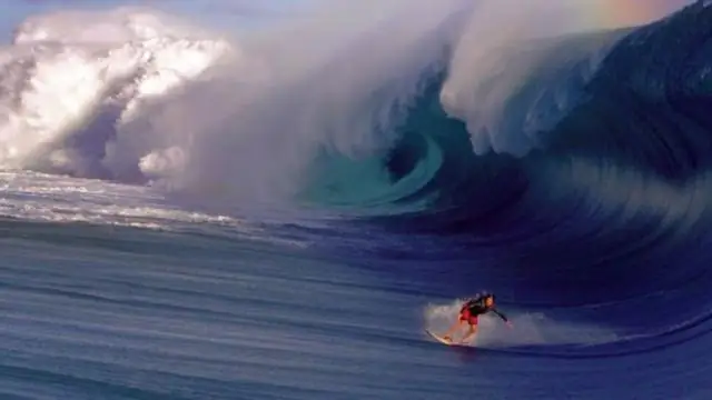 Когда коралловые рифы меняются, исследователи и местные сообщества могут не сойтись во взглядах