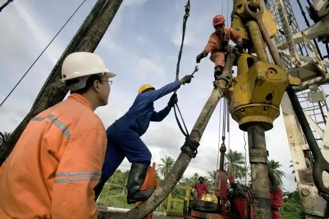 В развивающихся странах национальные парки могут спасти исчезающие виды