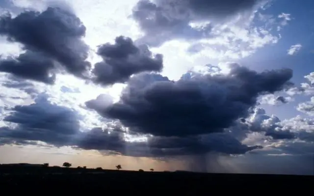 Влияние кампаний по обращению с пищевыми отходами приглушено, но указывает на правильное направление