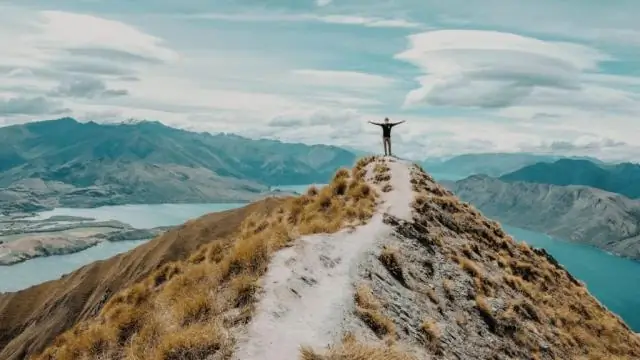 Древние записи побуждают переосмыслить временную шкалу эволюции животных