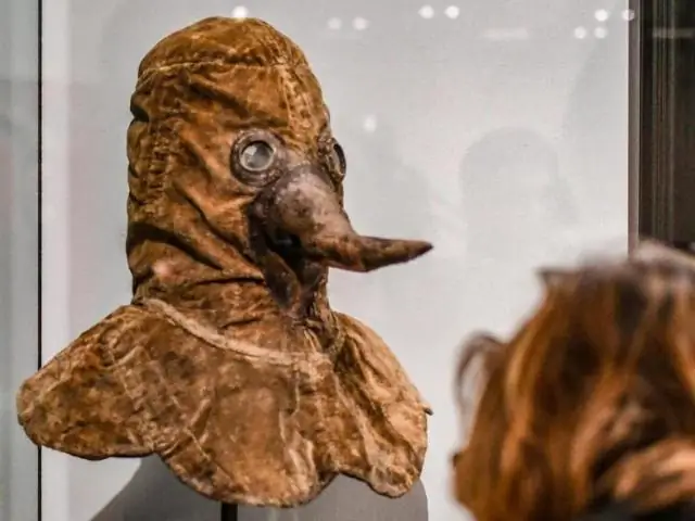 Защита от вируса Зика может заключаться в белке, полученном из комаров