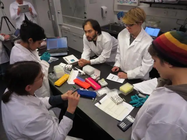 Гены, возникающие с нуля, расширяют разнообразие белков: геномный анализ растений риса предоставляет убедительные доказательства происхождения генов de novo