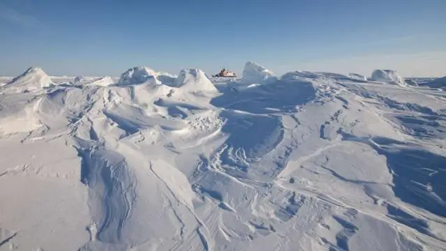 Роковой горизонт, вызванный подкислением, приближается к морским организмам в Южном океане