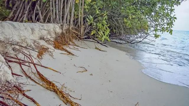 Воздействие морских и пресноводных хищников на экосистемы и общество