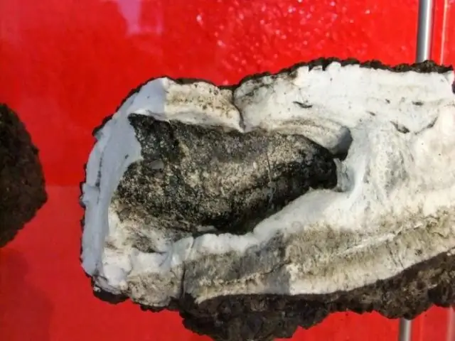 Ученые идут на крайние меры, чтобы раскрыть состав ядра Земли