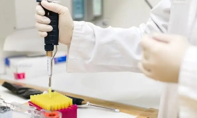 Чрезмерная гигиена способствует устойчивости к антибиотикам