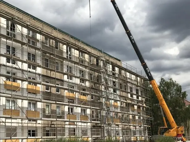 Обзор воздействия шума на морских млекопитающих дает новые политические рекомендации