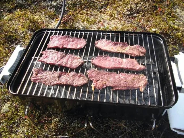 Голодные лоси более терпимы к присутствию волков
