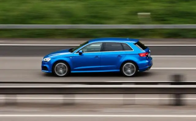 Ограничение скорости создания ДНК задает темп для первых шагов жизни