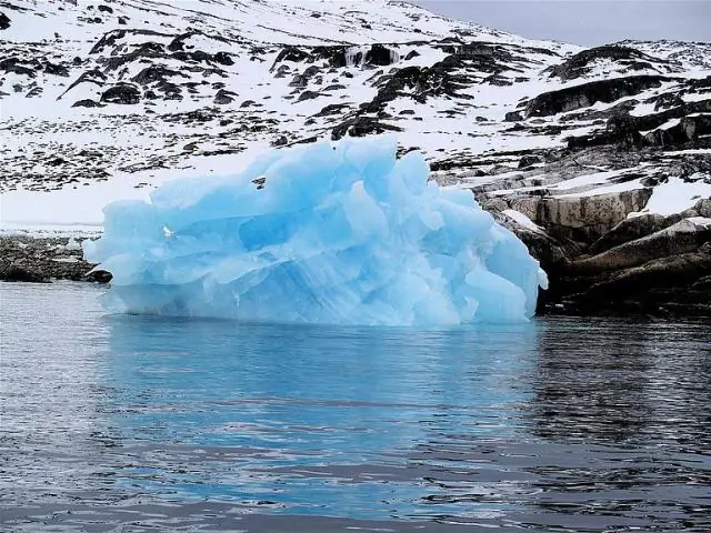 Используя Торо, ученые измеряют влияние изменения климата на полевые цветы