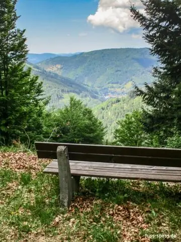 Путь загрязнения азотом к ручьям проходит через больше лесов (и быстрее), чем предполагалось