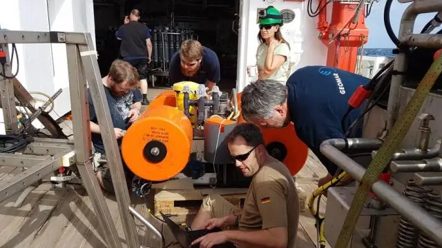 Ученые изучают рыбу, чтобы научиться адаптироваться к последствиям изменения климата