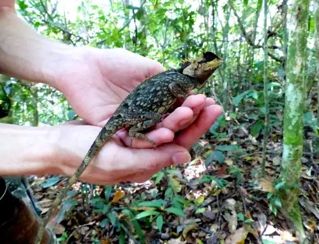 Рыбалка для удовольствия, а не для еды: исследование оценивает воздействие любительского рыболовства: необходимы новые схемы управления для поддержания рыбных запасов во всем мире