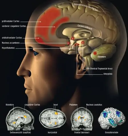 Хроматин быстро изменяется в ответ на низкое содержание кислорода