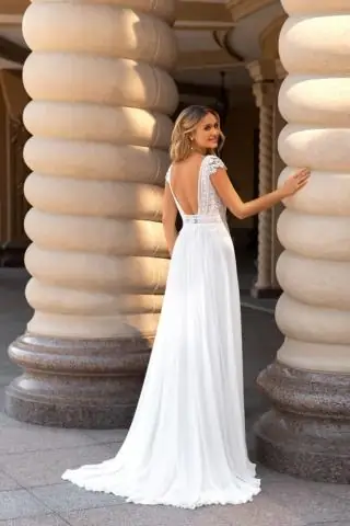 Брачная война жуков-плавунцов остановила эволюцию видов